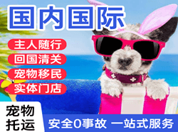 伊春机场快递国际宠物托运 【国